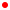 red dot 6